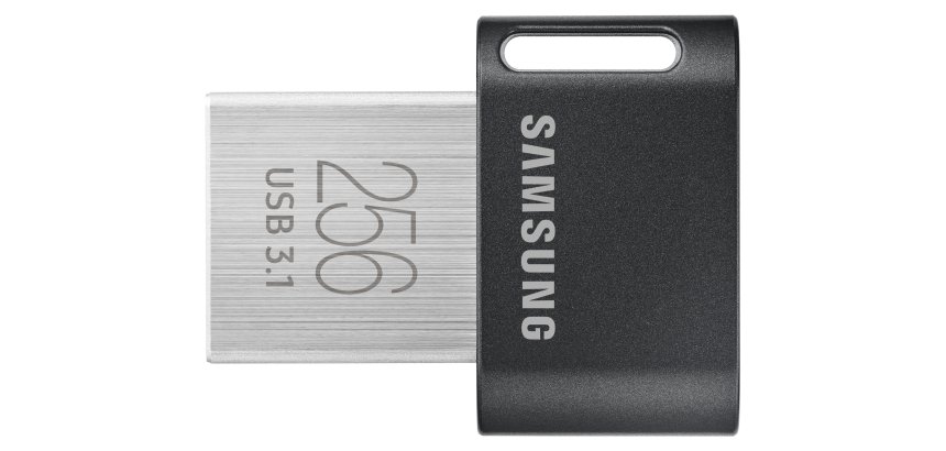 Samsung MUF-256AB lecteur USB flash 256 Go USB Type-A 3.2 Gen 1 (3.1 Gen 1) Gris, Argent