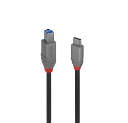 Lindy 36666 cavo USB USB 3.2 Gen 1 (3.1 Gen 1) 1 m USB C USB B Nero
