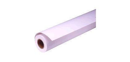 Epson Pap Photo Premium Glacé (250) 16" (0,406x30,5m)