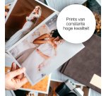 Epson 26 - cyaan - origineel - inktcartridge