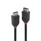 Lindy 36492 cable DisplayPort 2 m Negro