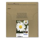 Epson Daisy Multipack EasyMail "Pâquerette" 18XL - Encre Claria Home N,C,M,J