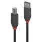 Lindy 36672 câble USB USB 2.0 1 m USB A USB B Noir