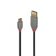 Lindy 36888 câble USB USB 2.0 3 m USB A USB C Noir, Gris