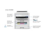 Epson WorkForce Pro EP-C800RDW Printer