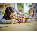 LEGO Disney Princess Asha's Cottage