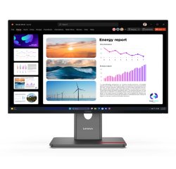 Lenovo ThinkVision P24Q-40 Monitor
