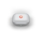 Motorola Moto Buds Headphones Wireless In-ear Calls/Music/Sport/Everyday Bluetooth Coral