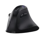 Trust Vyran souris Universel Droitier RF sans fil + Bluetooth Optique 4800 DPI