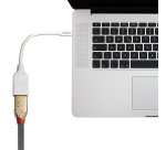 Lindy 41021 cable DisplayPort 0,15 m Mini DisplayPort Blanco