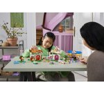 LEGO Isabelle's House Visit