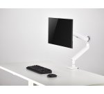 Equip Staffa di montaggio per monitor premium da 17“-35”, bianco