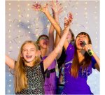 Celly FESTIVALGN karaoke system Portable Wireless