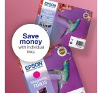 Epson Hummingbird Singlepack Cyan T0802 Claria Photographic Ink