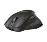 HP Ultra-Fast-Scroll Wireless Mouse 785M