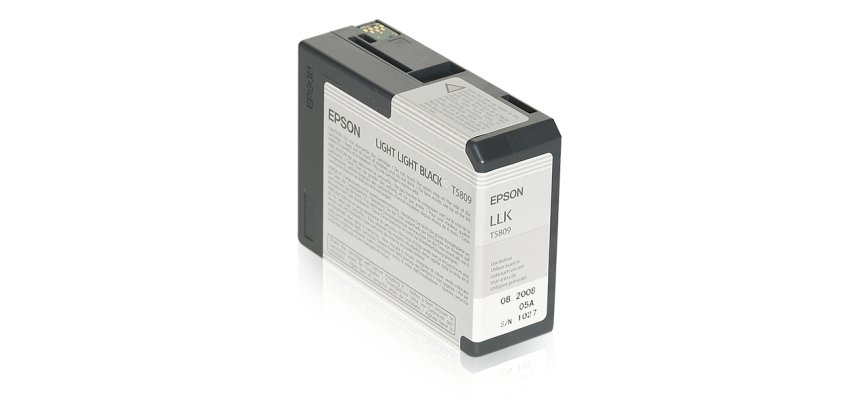 Epson Encre Pigment Gris Clair SP 3800/3880 (80ml)