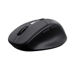 Trust Zevo souris Universel Droitier RF sans fil + Bluetooth Optique 4000 DPI