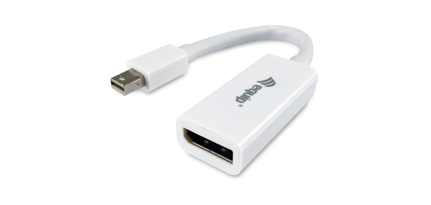 Equip Mini DisplayPort to DisplayPort adapter