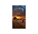 Samsung VM46B-U LCD Indoor