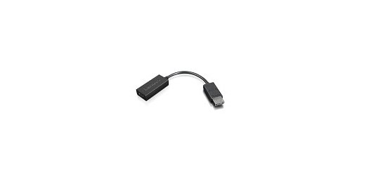 Lenovo 4X90R61023 câble vidéo et adaptateur 0,225 m DisplayPort HDMI Type A (Standard) Noir