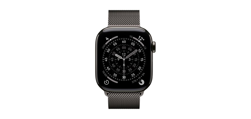 Apple MGJ14ZM/A smart wearable accessory Band Slate colour Stainless steel