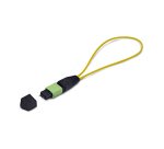 StarTech.com Module Loopback MPO, Adaptateur de Bouclage Fibre Optique Monomode 9/125 MPO-12 Mâle, Testeur Loopback MPO/MTP-APC, Testeur de Bouclage MPO Mâle