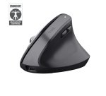 Trust Bayo+ souris Bureau Droitier RF sans fil + Bluetooth Optique 2400 DPI