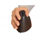 Bakker Elkhuizen Evoluent Standard - vertical mouse - USB
