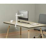 Equip Soporte de escritorio articulado para monitor de 17«-32», blanco