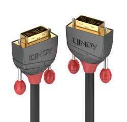 Lindy 36240 cable DVI 10 m DVI-D Negro