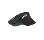 Acer Easy Fit Mouse? - Retail pack souris Droitier RF sans fil + Bluetooth 4000 DPI