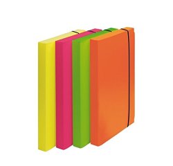 Fellowes 1028101 folder Polypropylene (PP) Multicolour A4