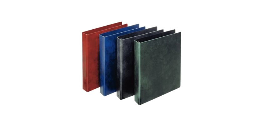 Esselte 390553050 raccoglitore ad anelli A4 Blu