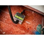 Cassette à ruban TZe-B31, largeur: 12 mm