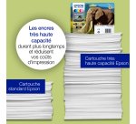 Epson 24 - cyan clair - original - cartouche d'encre