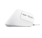 Trust Bayo II souris Bureau Droitier USB Type-A Optique 2400 DPI