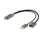 StarTech.com 30cm HDMI naar DisplayPort Adapter Kabel, Actieve 4K 60Hz HDMI 2.0 naar DP 1.2 Converter, HDR, USB Bus Powered, HDMI Bron naar DisplayPort Scherm voor Laptops/PC