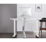 Equip 650862 organizador de cables Escritorio Pasacables Plata 1 pieza(s)