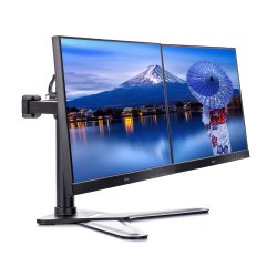 iiyama DS1002D-B1 support d'écran plat pour bureau 76,2 cm (30") Noir