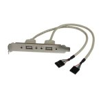 Adaptador de Placa USB A Hembra de 2 puertos, 2 x IDC, 2 x USB A, 0,286 m, Plata