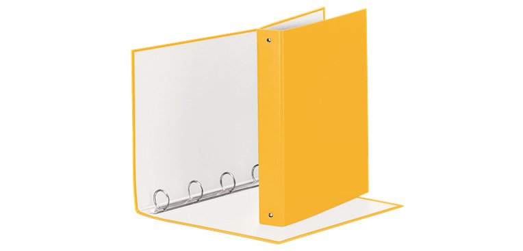 Raccoglitore Meeting - 22 x 30 cm - 4 anelli tondi 30 mm - dorso 4 cm - PP - giallo - Esselte