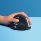 R-Go Tools Souris Ergonomique R-Go HE Break avec logiciel de pause, gaucher, grand (longueur de la main > 185 mm), bluetooth, noir