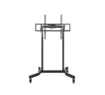 Equip 55"-100" Mobile Motorized LFD Trolley