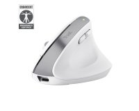 Trust Bayo+ ratón Oficina mano derecha RF Wireless + Bluetooth Óptico 2400 DPI