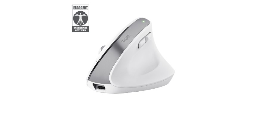 Trust Bayo+ souris Bureau Droitier RF sans fil + Bluetooth Optique 2400 DPI