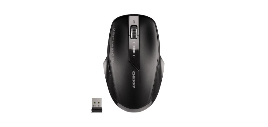 CHERRY MW 2310 2.0 Souris sans fil, noir, USB