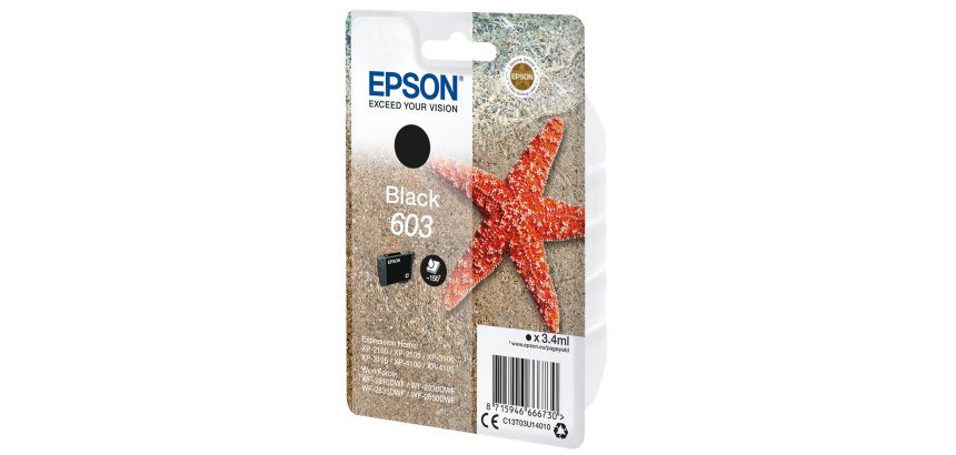 Epson Singlepack Black 603 Ink