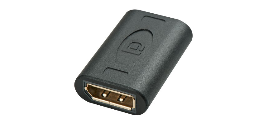 Lindy 41020 cambiador de género para cable DisplayPort Negro