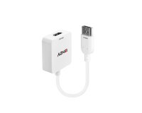 Lindy 38146 adaptador de cable de vídeo HDMI tipo A (Estándar) DisplayPort Blanco