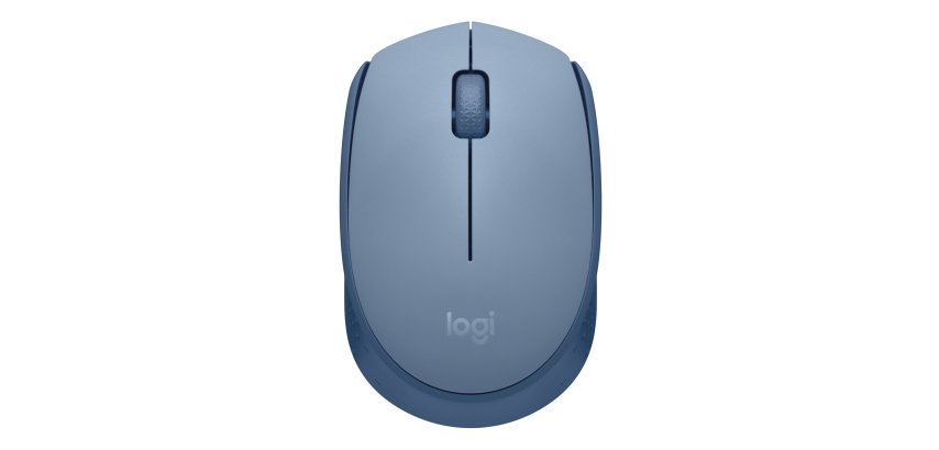 Logitech M171
